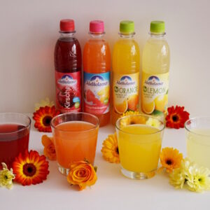 Adelholzener Bio Limonaden 0,5l PET