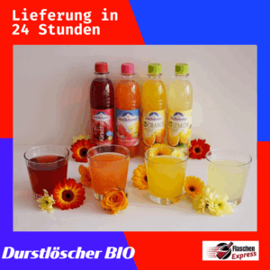 Adelholzener Bio Limonaden 0,5l PET